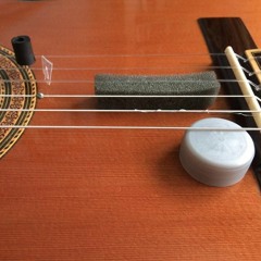 Five Short Preludes for Prepared Guitar - Nicholas Barrett