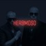 Wisin y Yandel - Porque Me Tratas Asi (herbmoso remix)