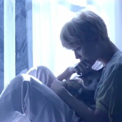 Jimin - Serendipity 3D