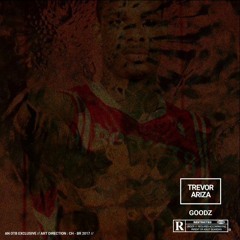 Goodz - Trevor Ariza