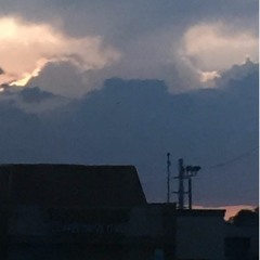 what happens when i get bored (experiments)