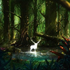 Soul in the Forest