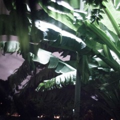 I Made You a Mixtape - Local