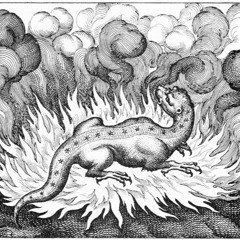 Tested in the Fire of Love