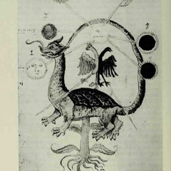 Lizard in the Spring