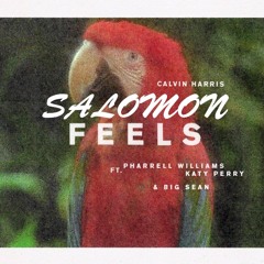 Feels  • Salomon Persp •  Calvin Harris ft. Pharrell Williams, Katy Perry, Big SeanFeels