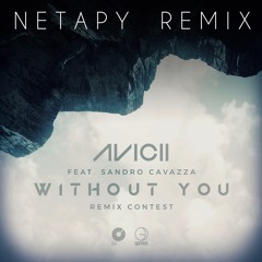 Avicii - Without You (Netapy Remix)