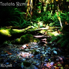 Nagual - Tzututa (Kousk Remix)