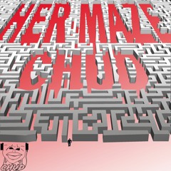 Her Maze (Prod. Nurse Chud)