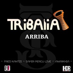 TRIBALIA - ARRIBA (Fred Kantis - Samir Percu Live - Anarkhia)