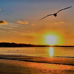 PsychoChill ft. Gabriel Cunha - TODO DIA (Prod.jamvix)