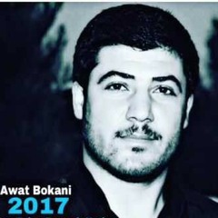 AWAT BOKANI