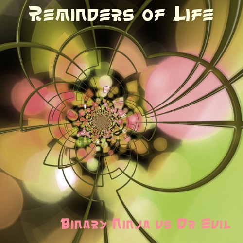REMINDERS OF LIFE - Binary Ninja vs Dr evil
