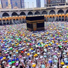 حبيبي يا مُحَمدْ يا صادقَ المِنوال