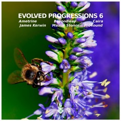 Ametrine - Exotherm (Original Mix) [Pineapple Digital] Available 9.11.2017