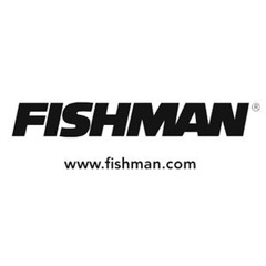 Fishman Acoustic Pickup test