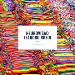 Curso de Neurovisão Leandro Rhein - áudio 001