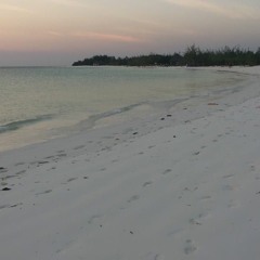 Maariv Aravim - Hebrew prayer with new melody and original English verses