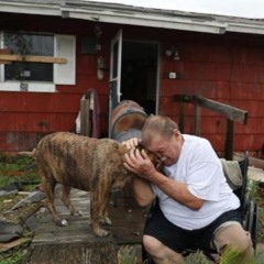 Episode 39 - Dogs in Disaster