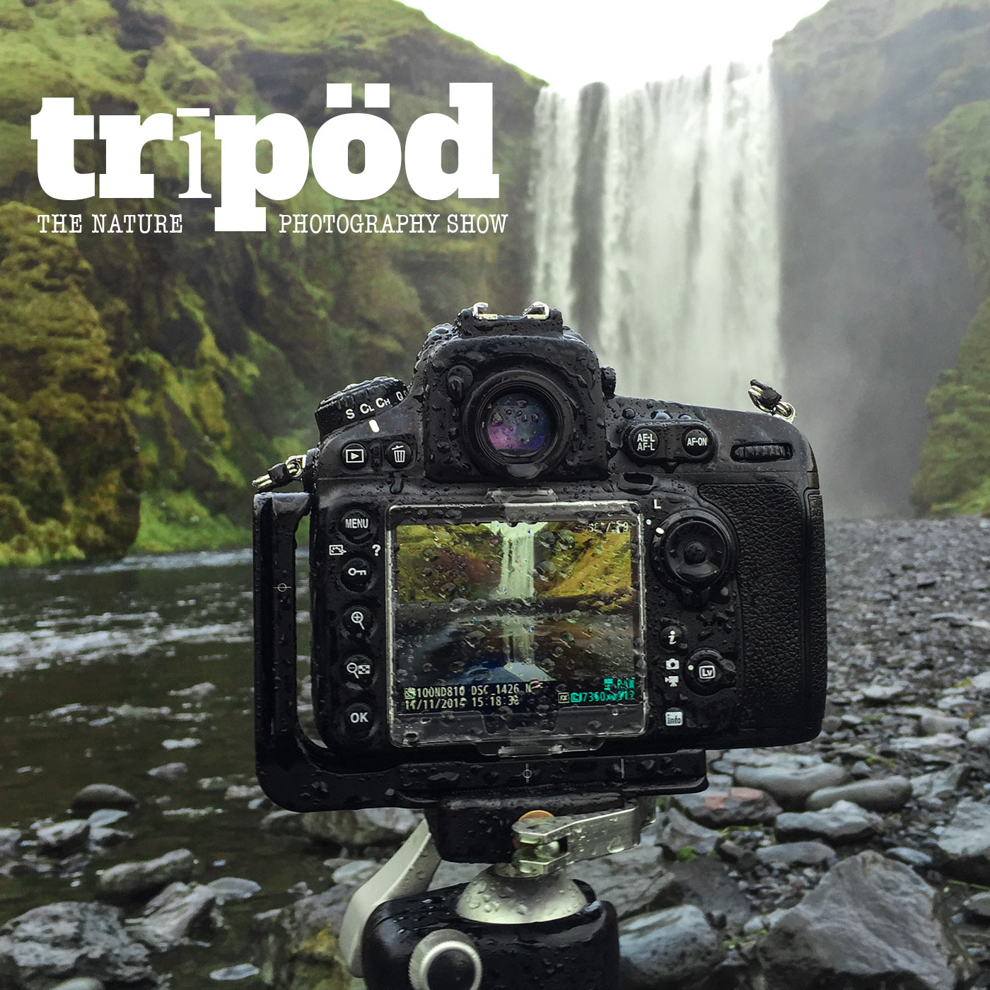 Tripod: Muscle Memory episode artwork