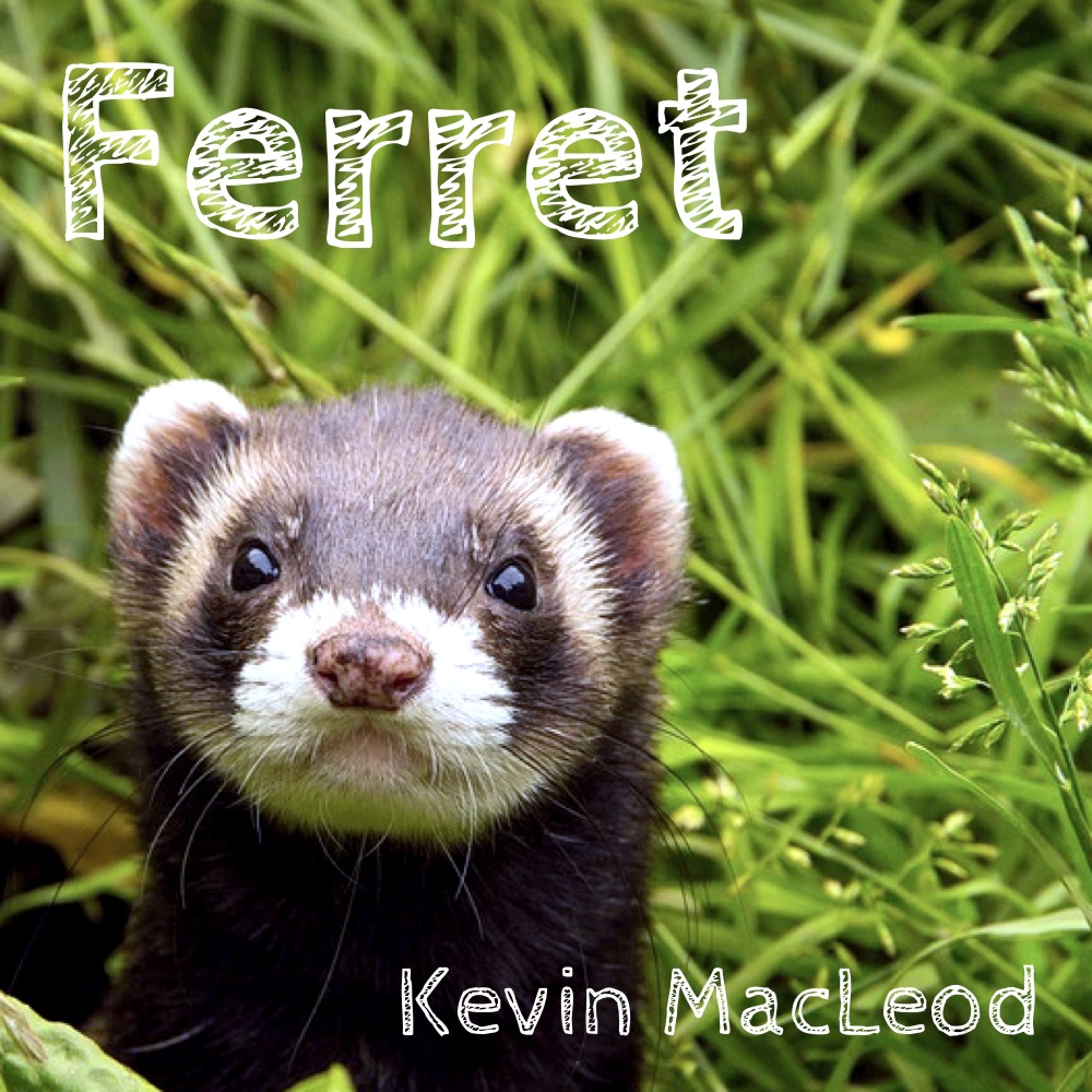 KevinMacLeod