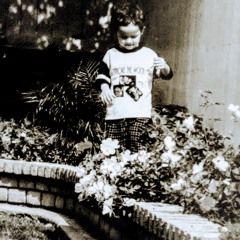 Hammers(Prod. by Vik Vook)