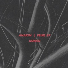 Anakim - Veins (Original Mix) [Understated Recordings]