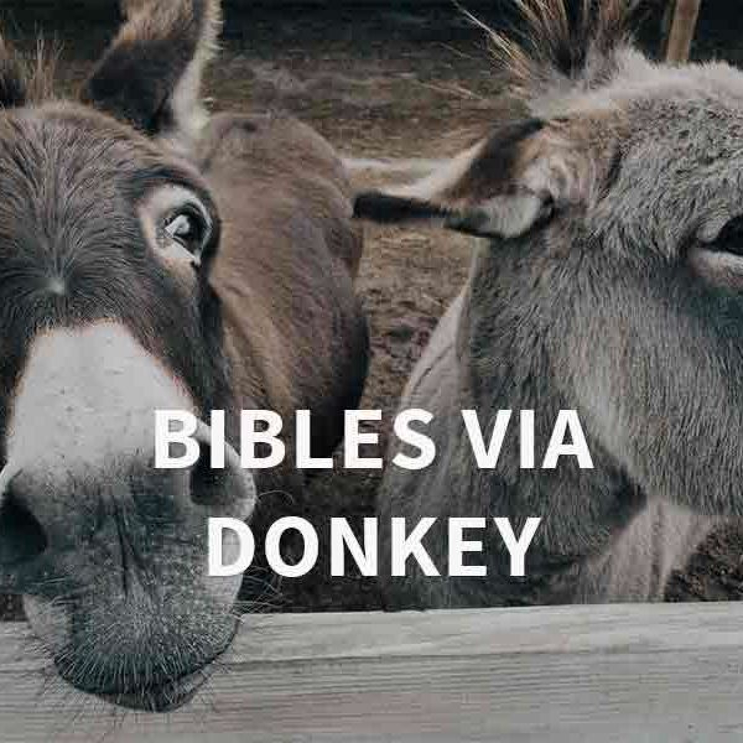 Syria - Bibles Via Donkey
