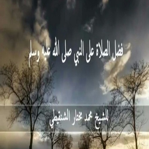 فضل الصلاة على النبي - صلى الله عليه وسلم - |  الشنقيطي
