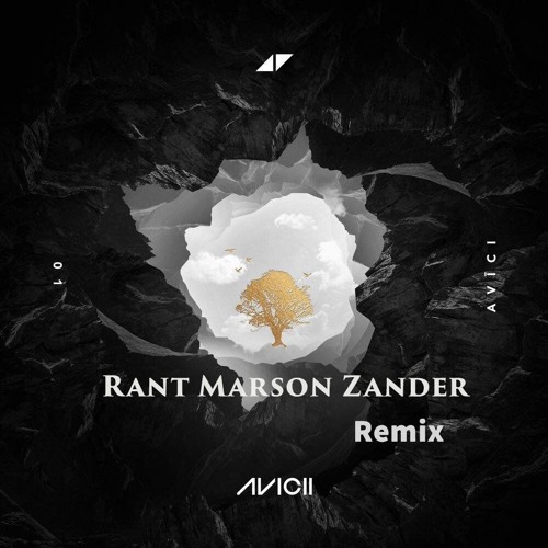 Avicii-Without You（Rant Marson Zander Remix）