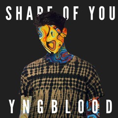 Ed Sheeran - Shape Of You (YNGBLOOD remix)