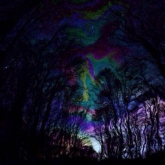 22. Late Night Magic Carpet Ride