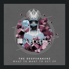 The Deepshakerz - What To Want To Get (Original Mix)