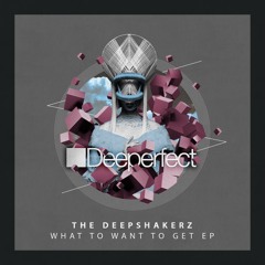 The Deepshakerz - Kiss The Radio (Original Mix)