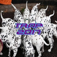 thirteen dalmatians