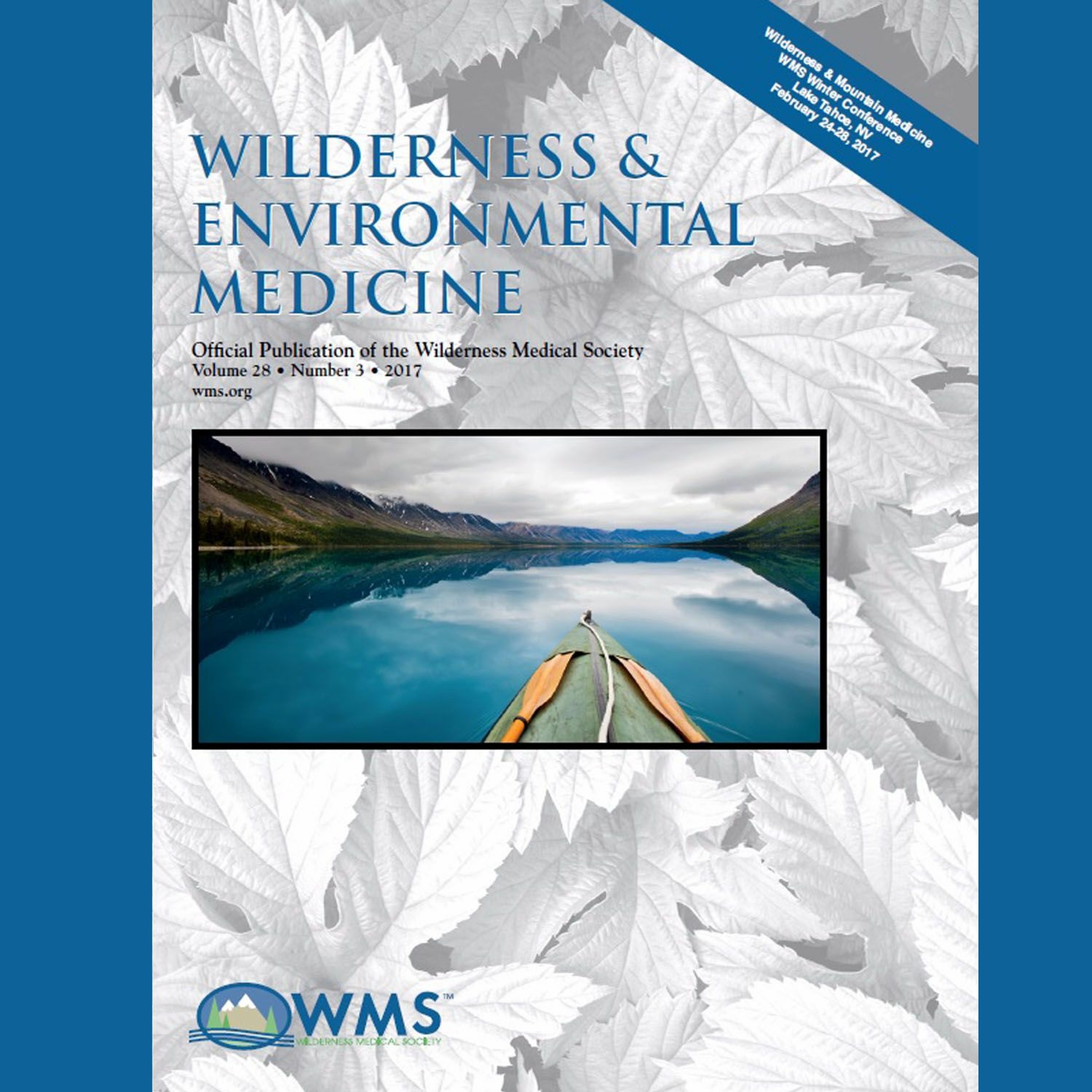 Wilderness Medicine Podcast