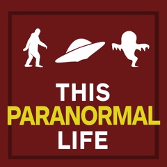 #025 The Philadelphia Experiment: The Ship that Disappeared