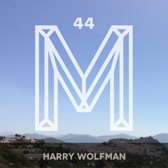 M44: Harry Wolfman
