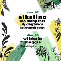 Alkalino @ La Biche & Le Renard 2 Hours DJ Set (Lille - France 2.9.17) FREE DOWNLOAD