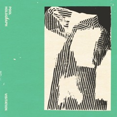 Pool Holograph - "Visitation"