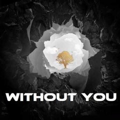 Avicii feat Sandro Cavazza - Without You (Ihan Farhan Remix)