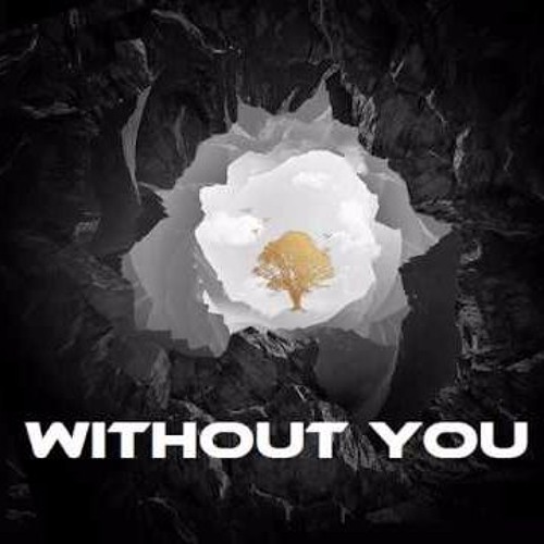 Avicii feat Sandro Cavazza - Without You (Ihan Farhan Remix)