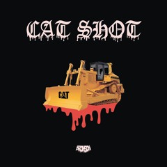 BRONSON - CAT SHOT (prod. by FVDXVD)