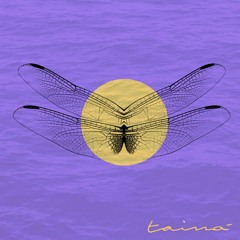 Em Desconstrução