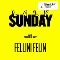 Lazy Sunday Mix 012 - Féllini Félin (Délicieuse Records)