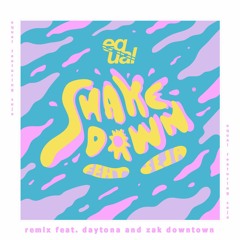 Shakedown remix feat. The Kid Daytona, Zak Downtown, Seja