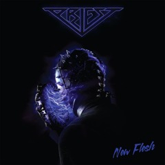 Priest - New Flesh - 09 - Priest - Call My Name