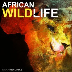 African Wildlife (Mammals, Birds & Ambiences)