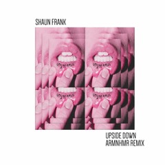 Shaun Frank - Upsidedown (ARMNHMR Remix)