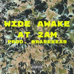 WIDE AWAKE AT 2AM (PROD. RRAREBEAR)